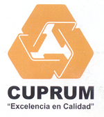 cuprum resources chile limitada